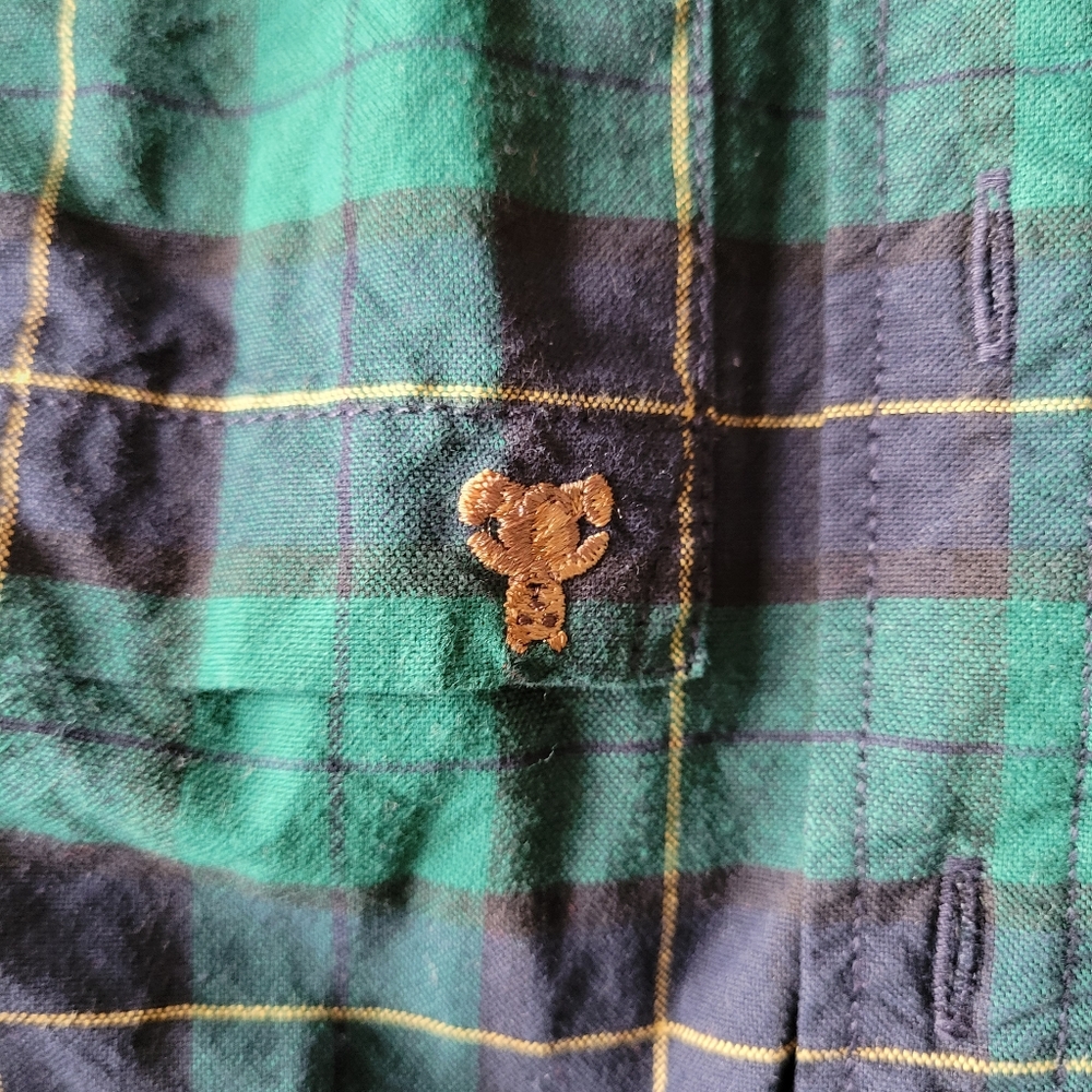 Gap green nd blue button down shirt